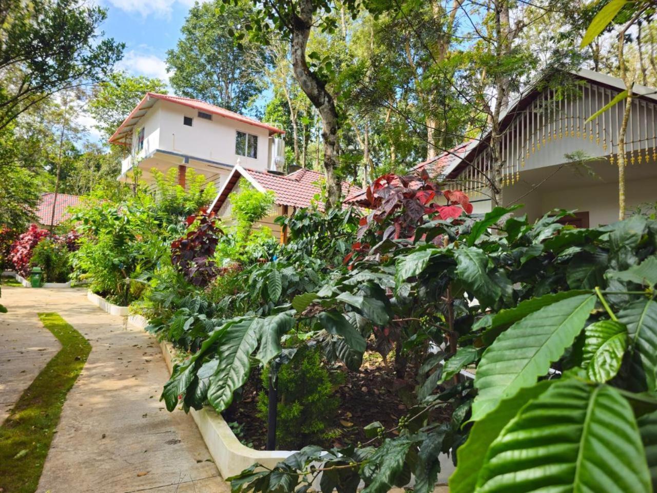 Coorg Orange Blossom Resort And Spa Suntikoppa Eksteriør bilde