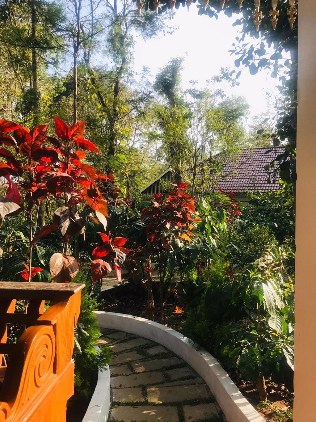 Coorg Orange Blossom Resort And Spa Suntikoppa Eksteriør bilde