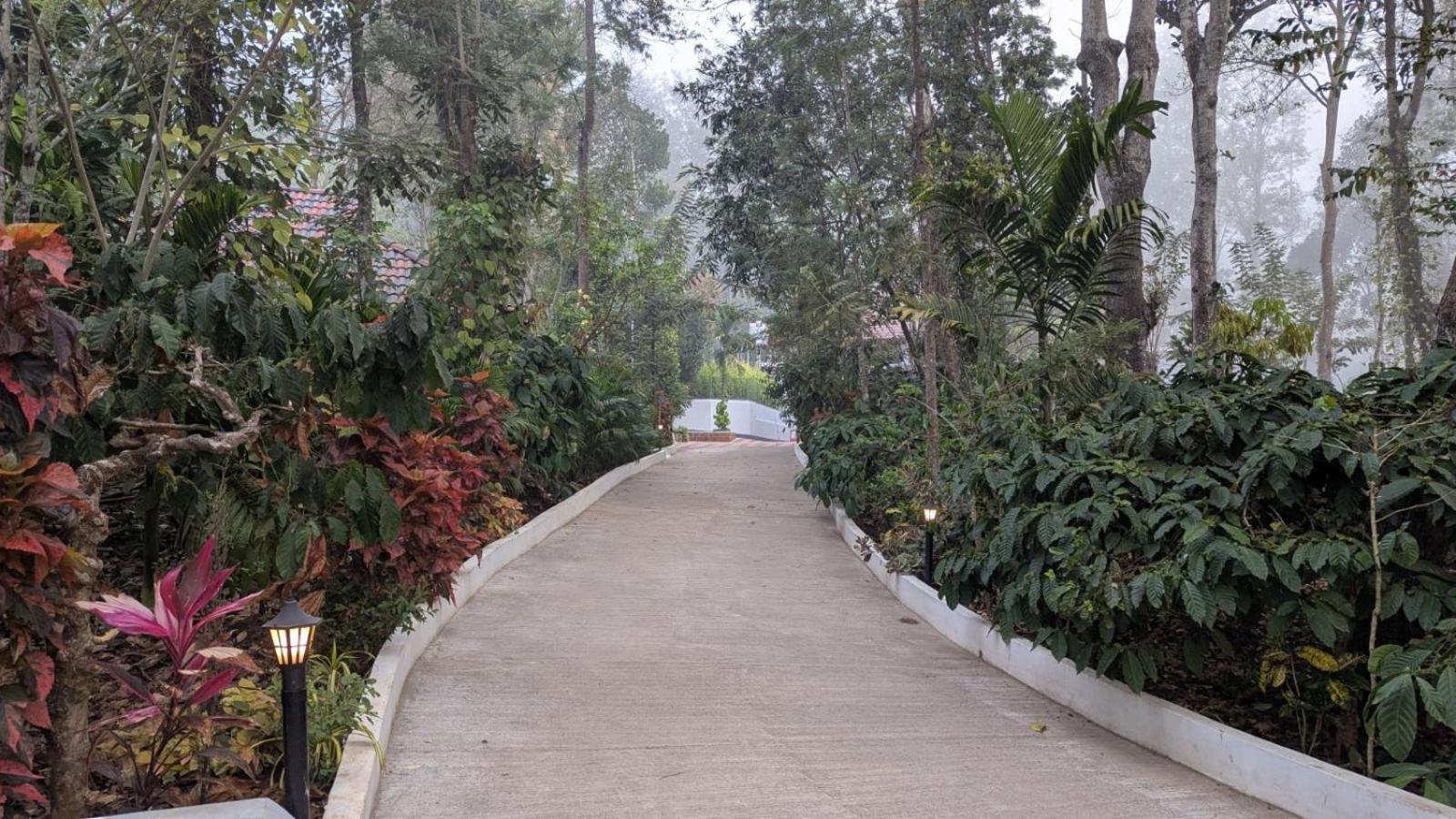 Coorg Orange Blossom Resort And Spa Suntikoppa Eksteriør bilde